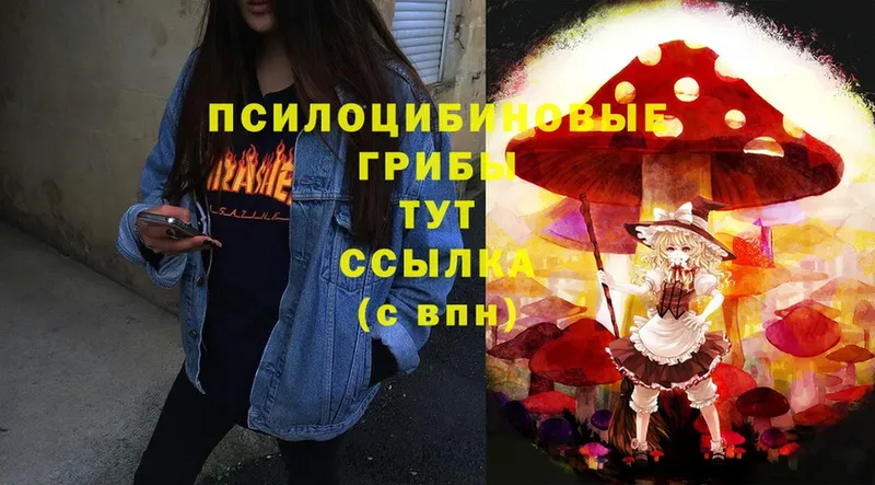 Галлюциногенные грибы Magic Shrooms  Олонец 